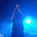 Live at Amsterdam Woods Festival