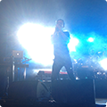 Live at Amsterdam Woods Festival