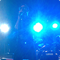 Live at Amsterdam Woods Festival