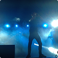 Live at Amsterdam Woods Festival