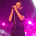 Live at Amsterdam Woods Festival