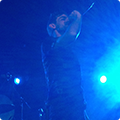 Live at Amsterdam Woods Festival