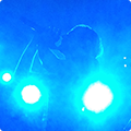 Live at Amsterdam Woods Festival