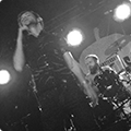 Live at Amsterdam Woods Festival